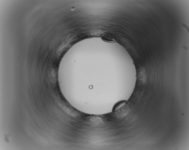 X0000103500572200809262016