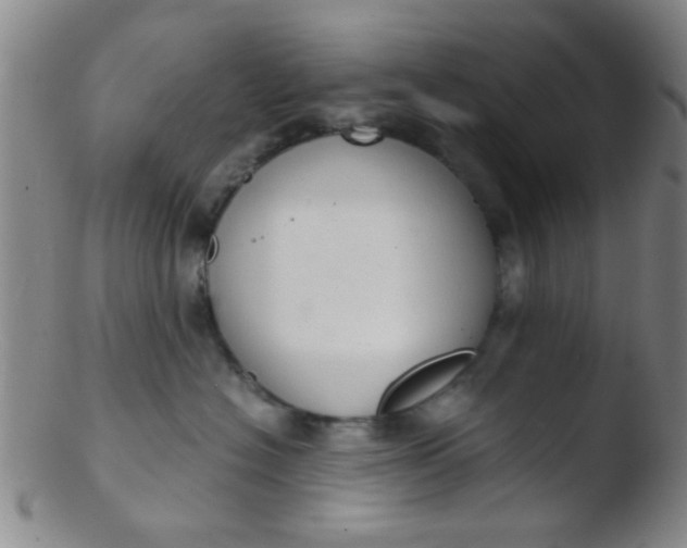 X0000103500574200809262016