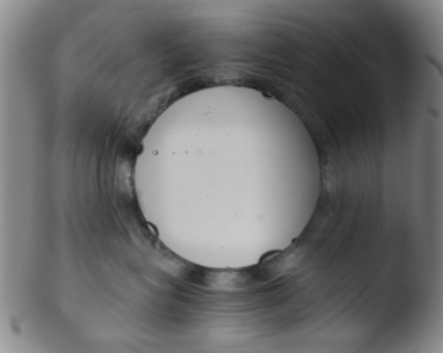 X0000103500575200809262016