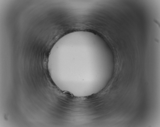 X0000103500576200809262016