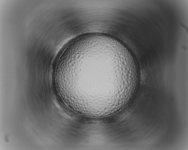 X0000103500580200809262015