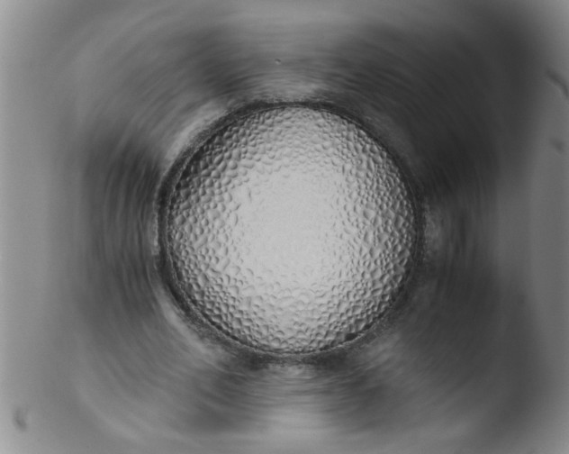 X0000103500582200809262015