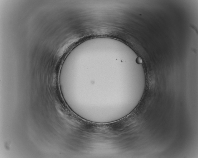 X0000103500583200809262015