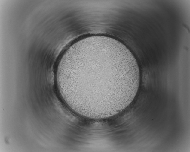 X0000103500584200809262015