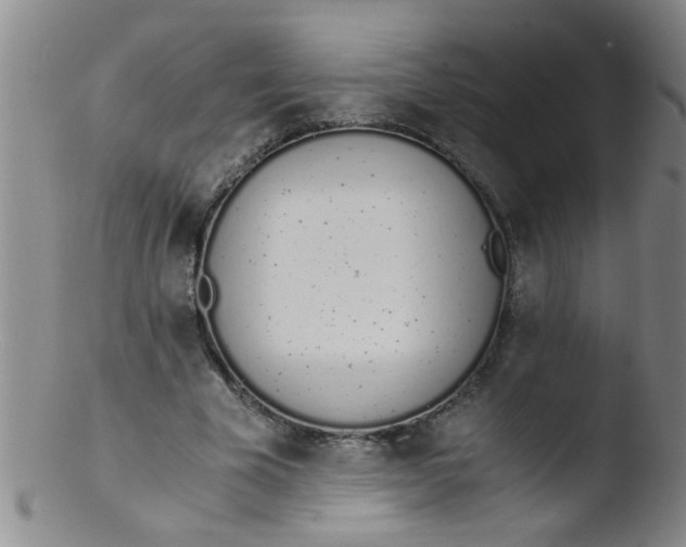 X0000103500585200809262015