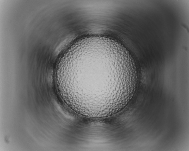 X0000103500586200809262015