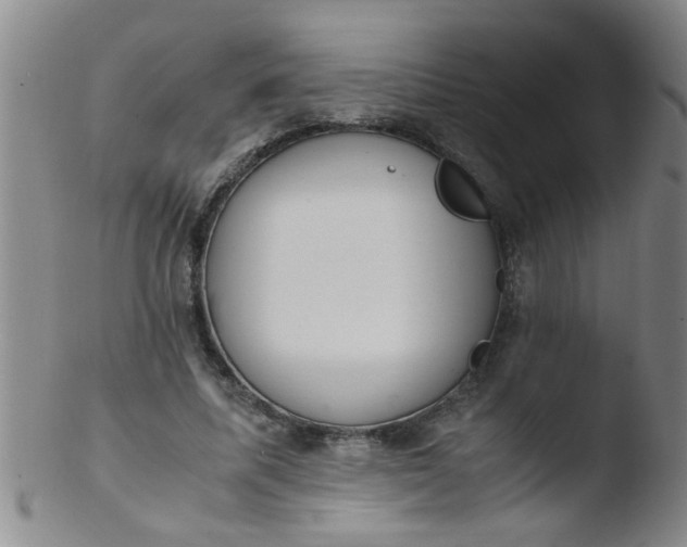 X0000103500587200809262015