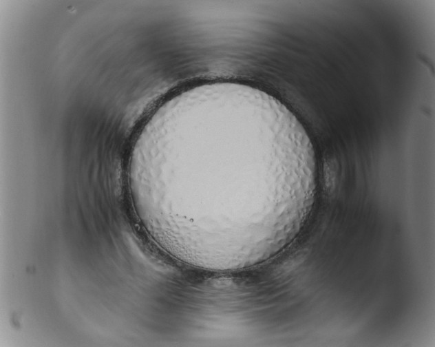 X0000103500588200809262015