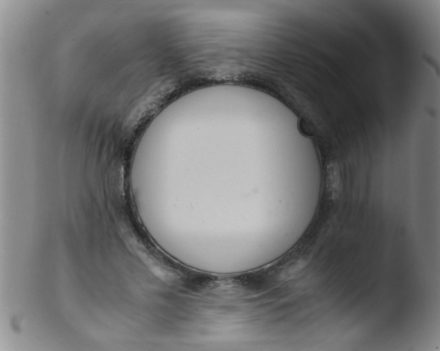 X0000103500589200809262015