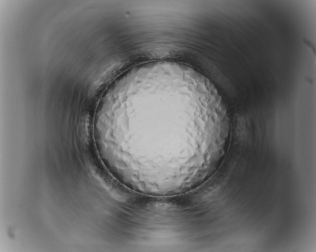 X0000103500590200809262015