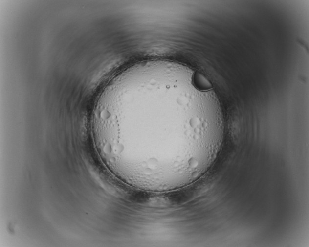 X0000103500591200809262015