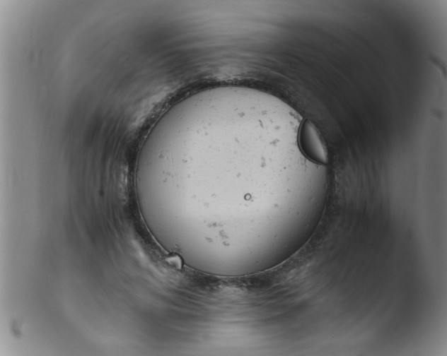 X0000103500592200809262015