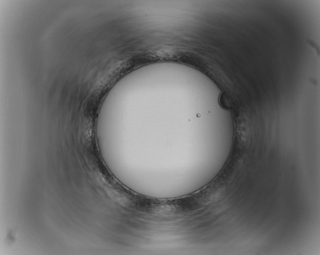 X0000103500593200809262015