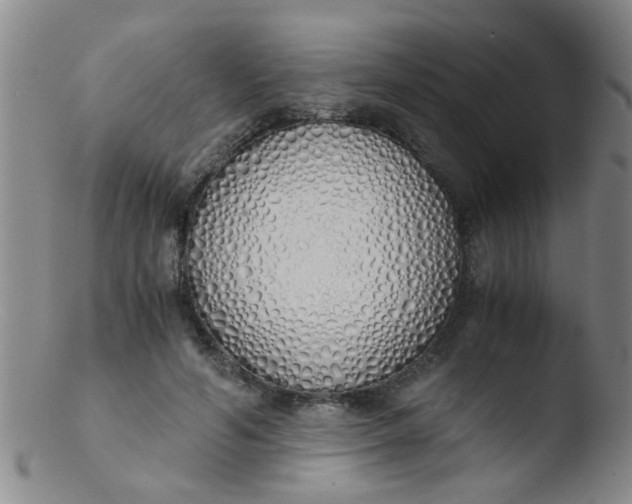 X0000103500594200809262015