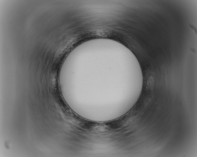 X0000103500595200809262015