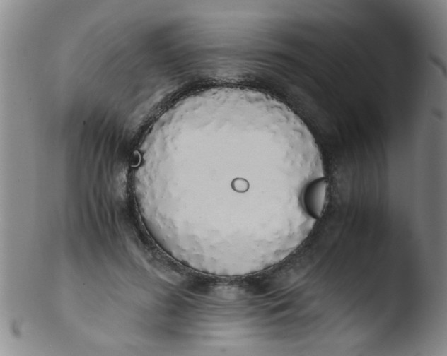 X0000103500596200809262015