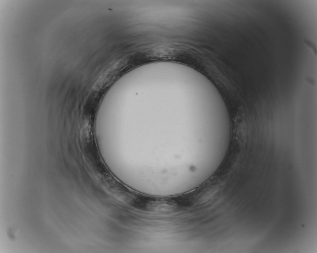 X0000103500597200809262015