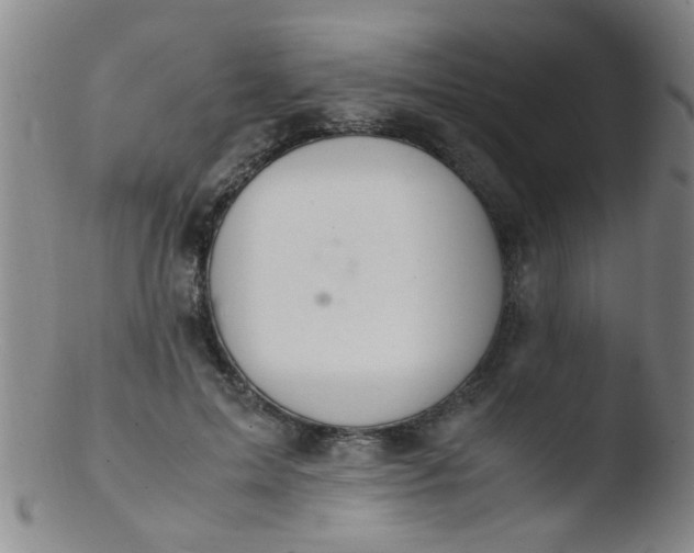 X0000103500599200809262015