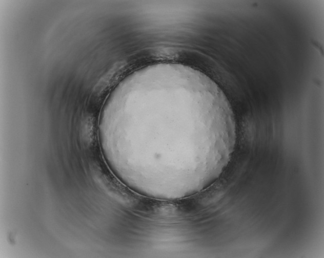 X0000103500600200809262015