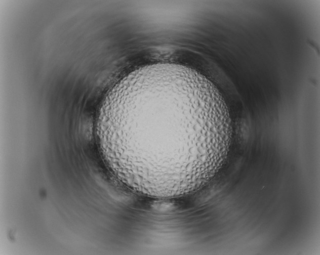 X0000103500602200809262015