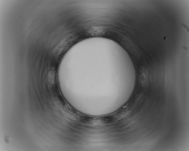 X0000103500604200809262015