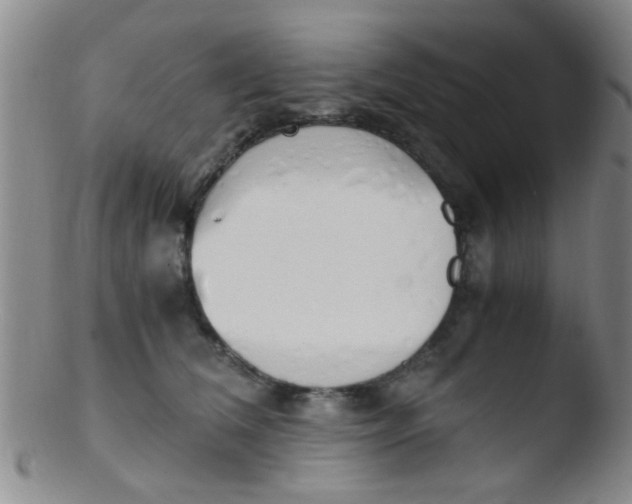 X0000103500612200809262015