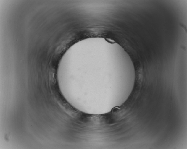 X0000103500615200809262015