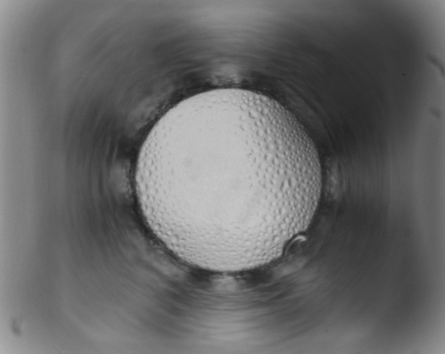 X0000103500616200809262015