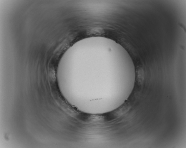 X0000103500617200809262015