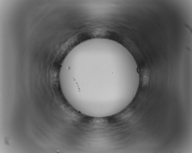 X0000103500619200809262015