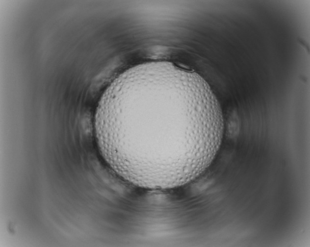 X0000103500620200809262015