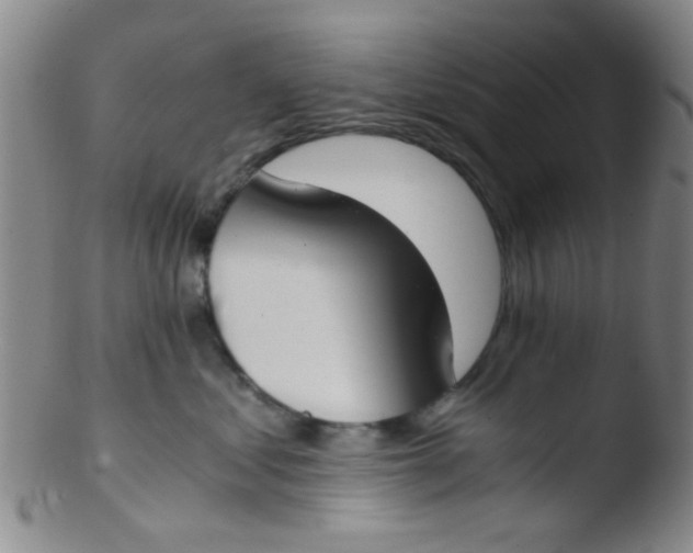 X0000103500621200809262015