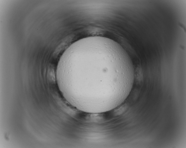 X0000103500622200809262015