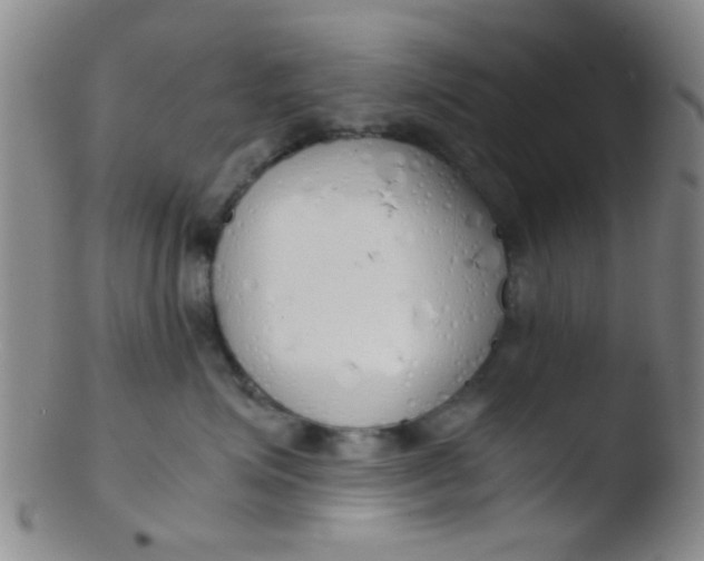 X0000103500623200809262015