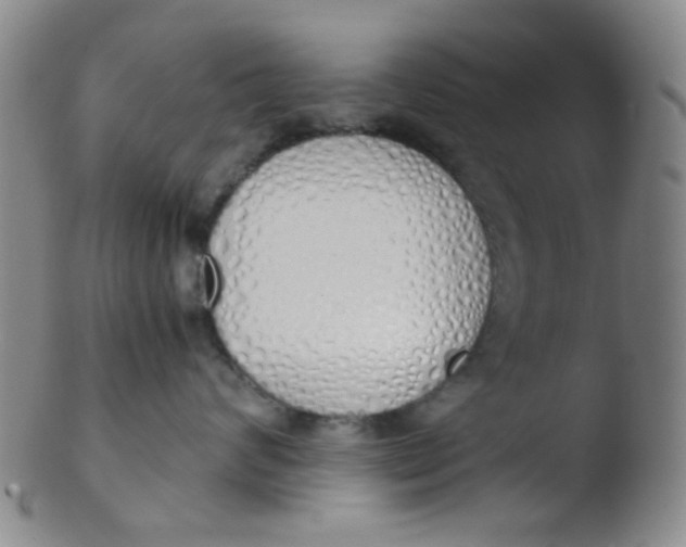 X0000103500624200809262015