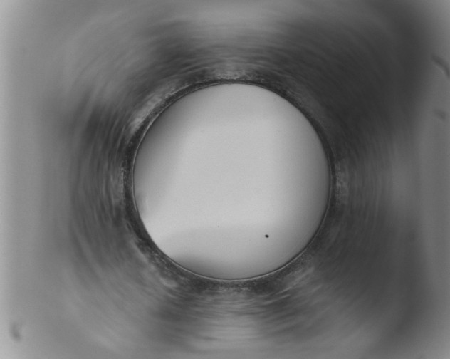 X0000103500626200809262014