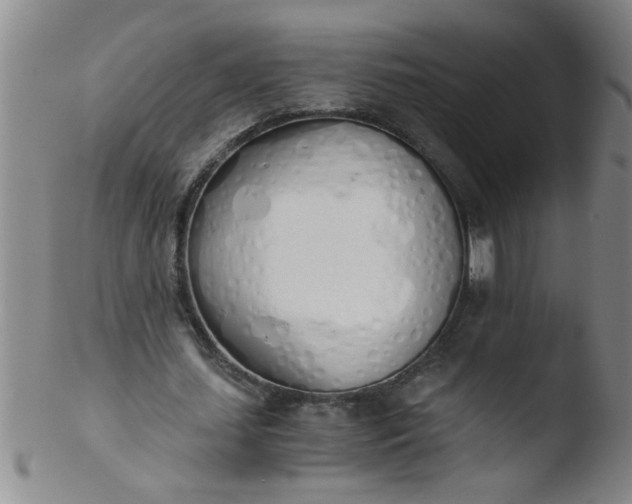 X0000103500627200809262014