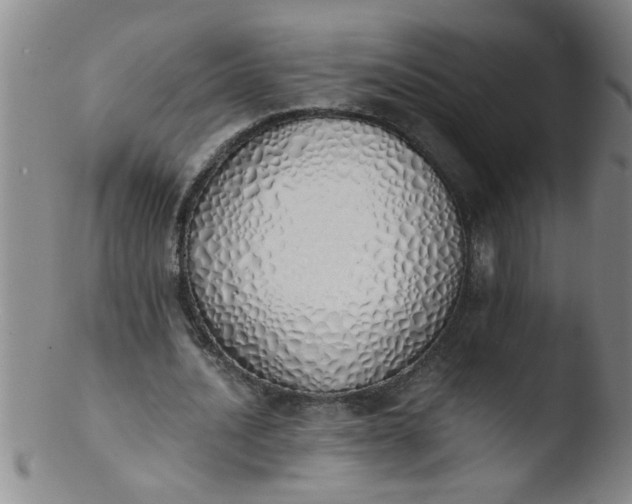 X0000103500628200809262014