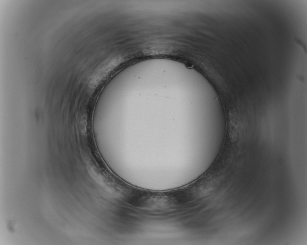 X0000103500631200809262014