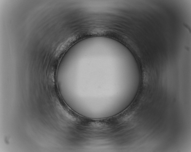 X0000103500633200809262014