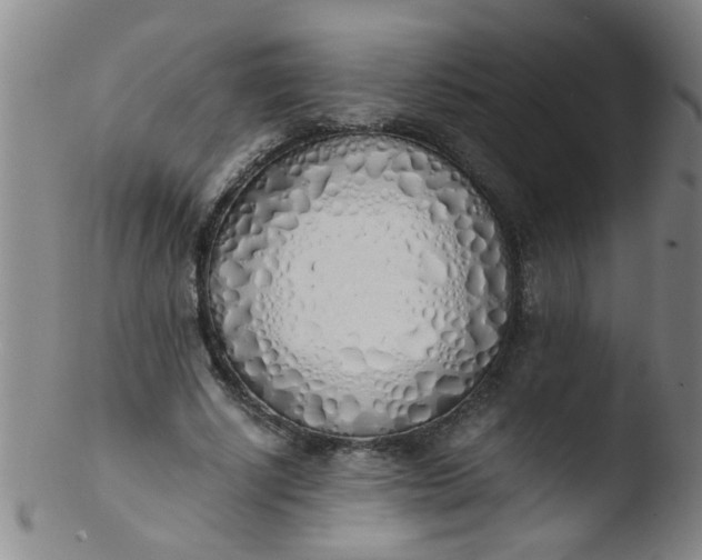 X0000103500634200809262014