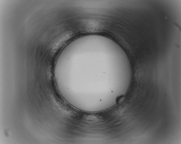 X0000103500635200809262014