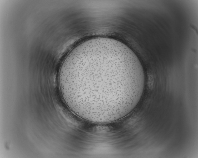 X0000103500636200809262014