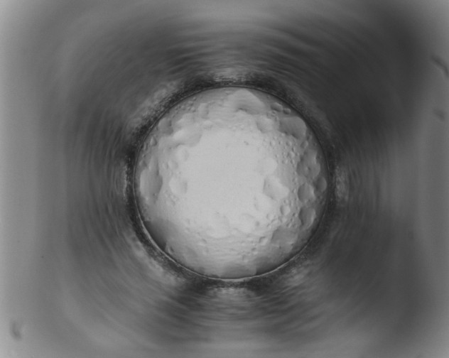 X0000103500637200809262014