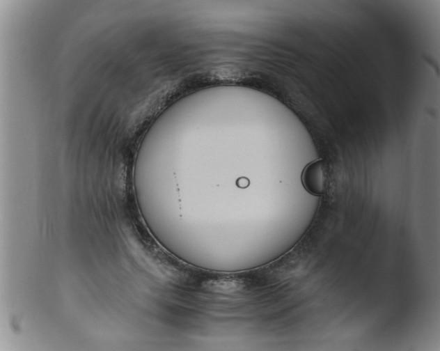 X0000103500639200809262014