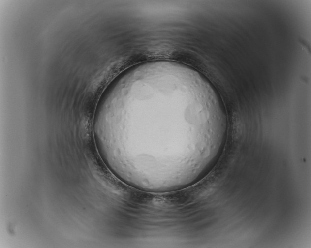 X0000103500641200809262014