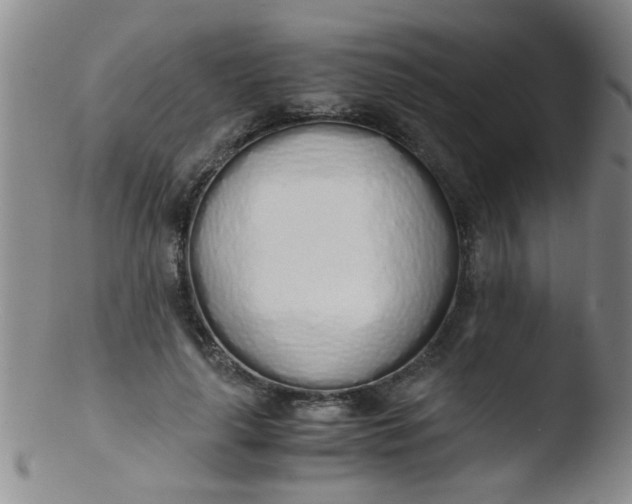 X0000103500643200809262014