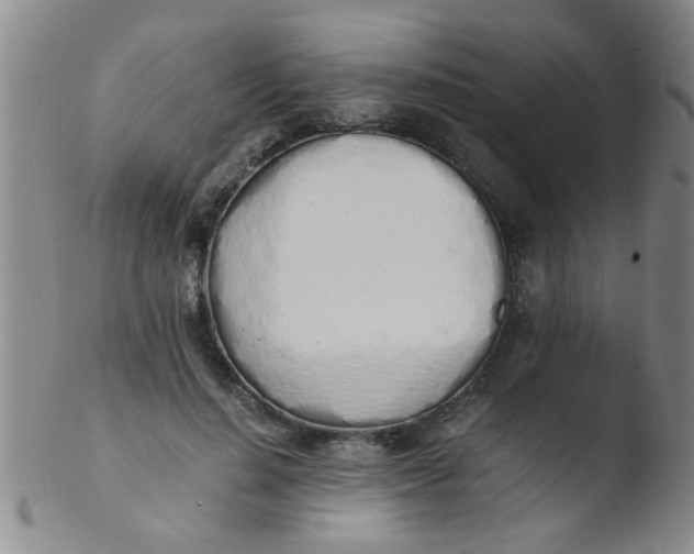 X0000103500644200809262014