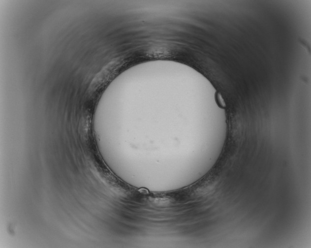 X0000103500645200809262014