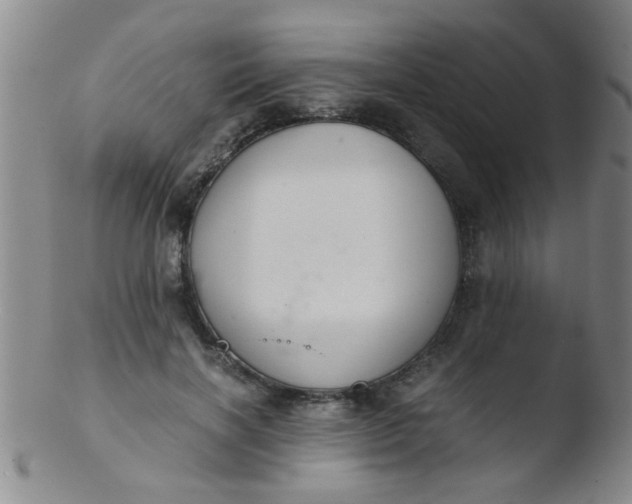 X0000103500646200809262014